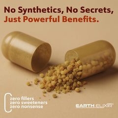 Earth Elixir bottle on a shelf showing convenient daily dose