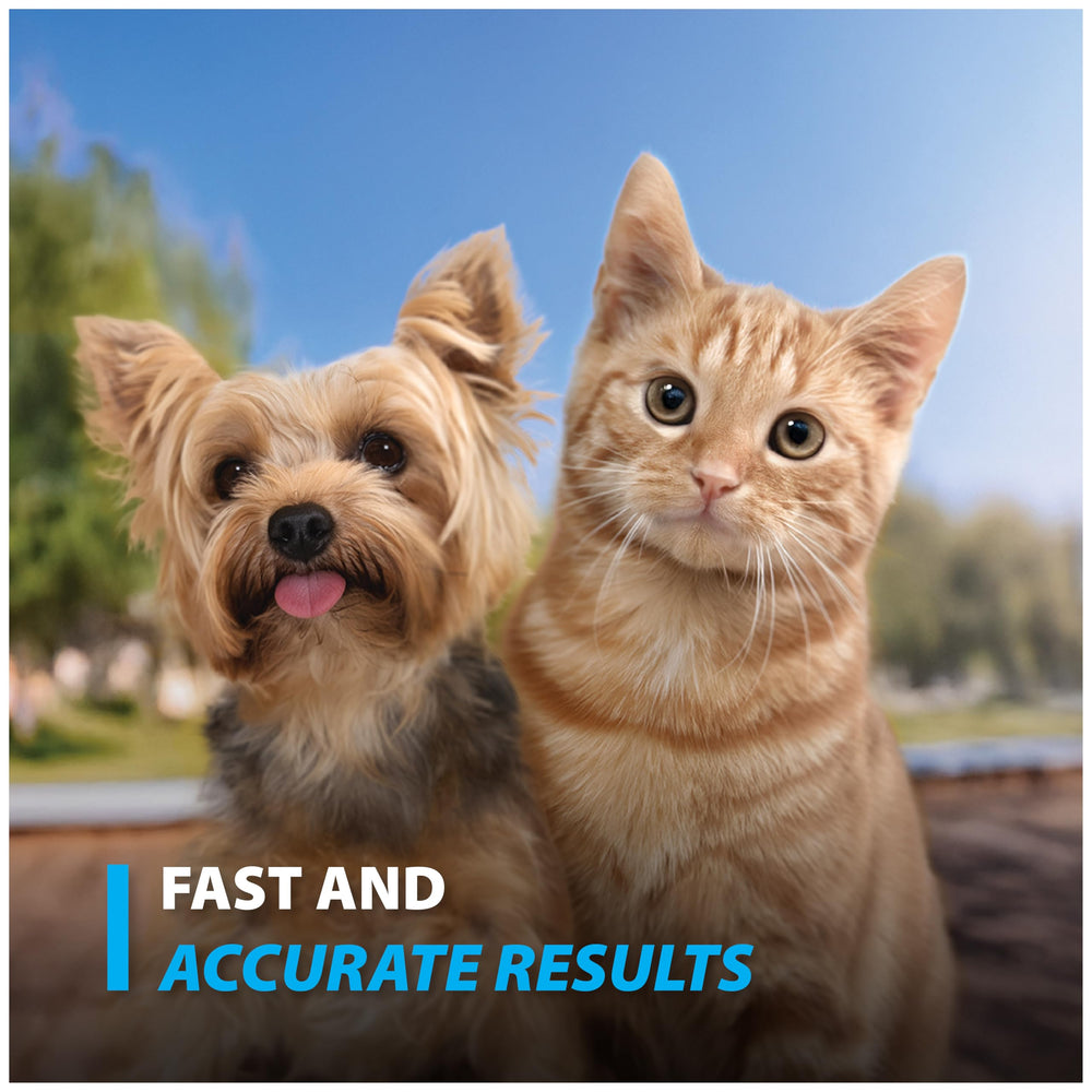 Easy Touch Pet Glucose Test Strips 50-count pack for ongoing monitoring.