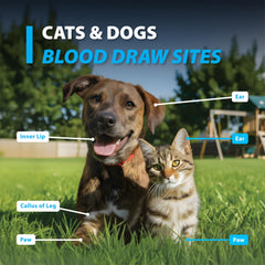 Easy Touch Pet Glucose Test Strips small sample requirement for less stress.