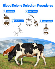 eBmonitor eBGKVET ketone strips for ketosis monitoring on dairy farms