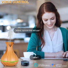 Ebooine diffuser app setup illustrates simple connection from phone