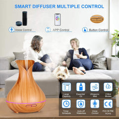 Ebooine diffuser with Alexa and Google Home for hands-free control