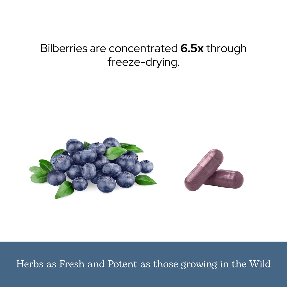 ECLECTIC INSTITUTE Bilberry label emphasizes vegan and gluten-free features