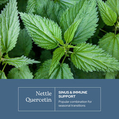 Label close-up shows minerals preserved in freeze-dried nettle blend.
