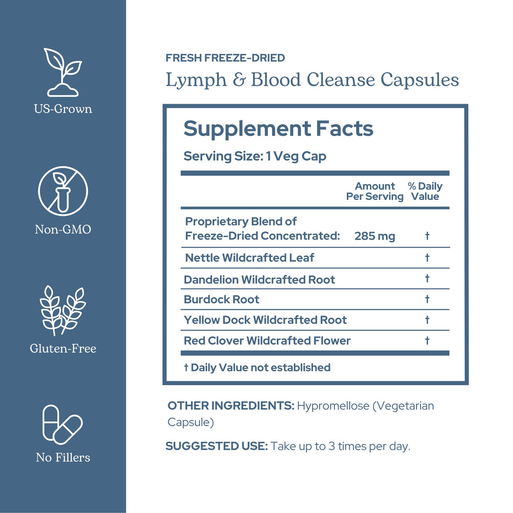 Eclectic Institute Lymph & Blood Cleanse label front highlights non-GMO vegan quality.