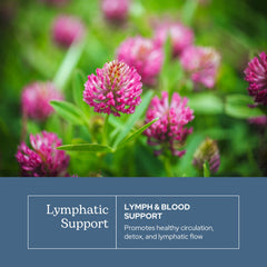 Eclectic Institute Lymph & Blood Cleanse packaging emphasizes concentrated formula.