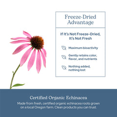ECLECTIC INSTITUTE No artificial colors or flavors label shows clean ingredients