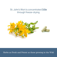 On-shelf display of Eclectic Institute St. John's Wort capsules