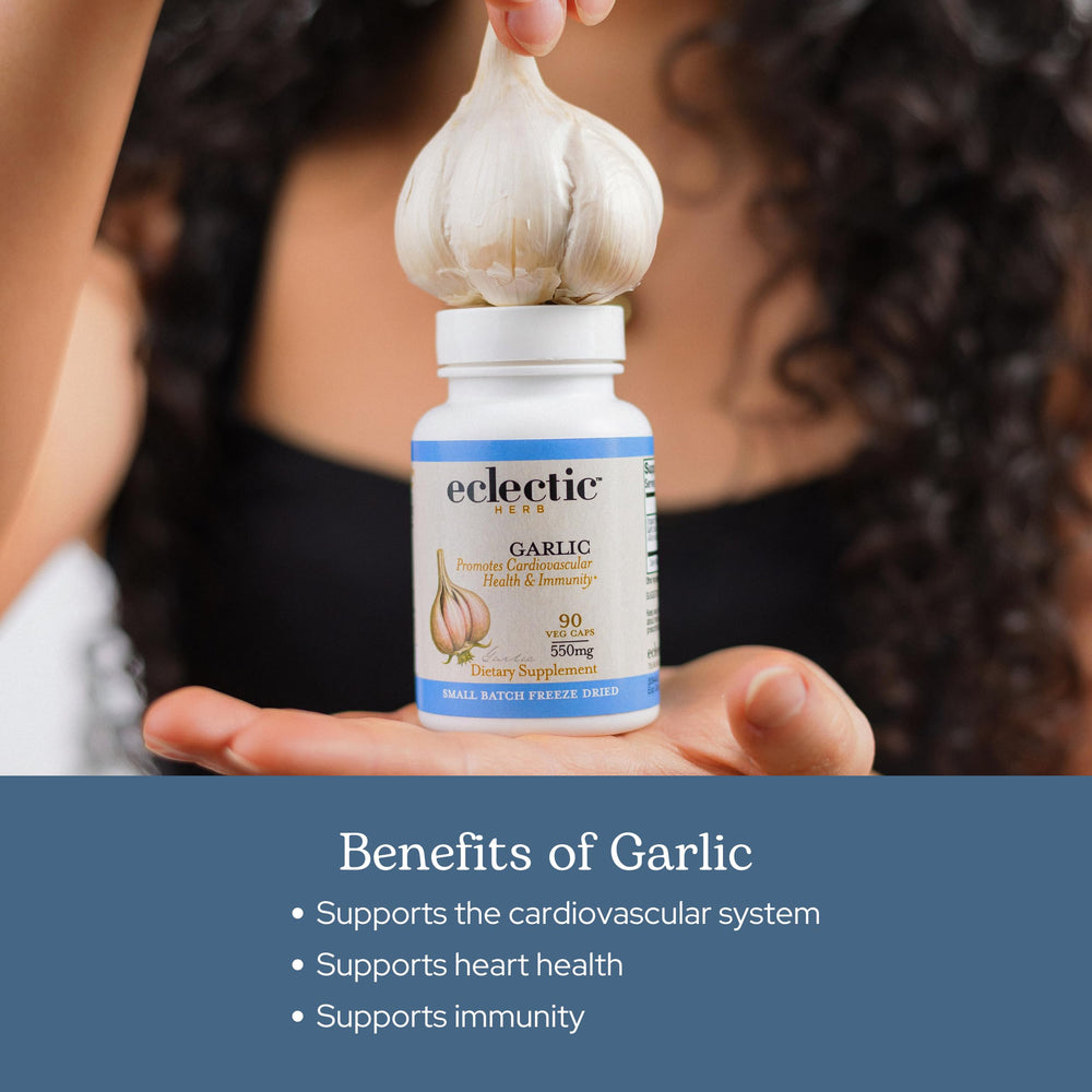 ECLECTIC INSTITUTE whole herb garlic supplement label with clean ingredients.