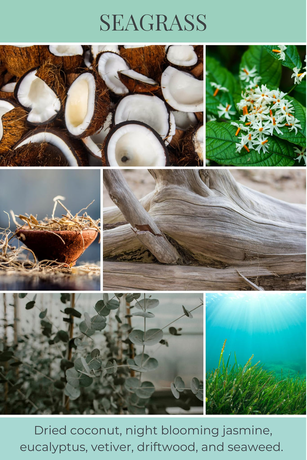 Eco Candle Co. tea light seagrass scent for cozy spaces with inviting aroma