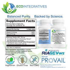 EcoIntegratives Provail glutathione illustration for enhanced absorption