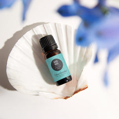 Edens Garden Beach House diffuser fills room with tropical citrus notes.