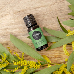 Edens Garden Cannabis Essential Oil diffuser moment releasing calming complex scent