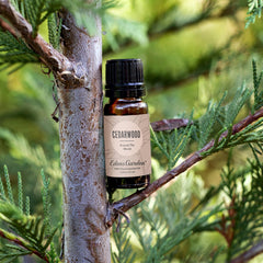 Edens Garden Cedarwood Around The World diffuser setup releasing calming scent.