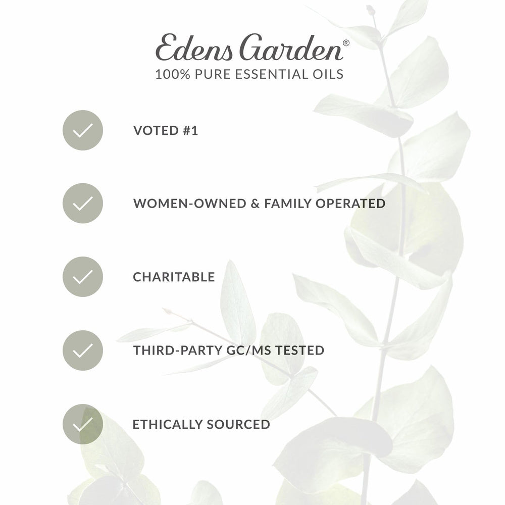 Edens Garden Cilantro oil bottle shown with diffuser setup.