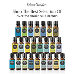 Edens Garden Cilantro oil suitable for gentle skin massage.