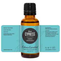 Edens Garden Cypress-Blue woodsy aroma ambiance in living space