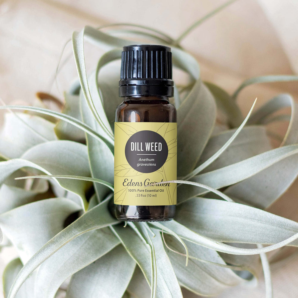 Edens Garden Dill Weed Oil label shows premium quality and natural sourcing.