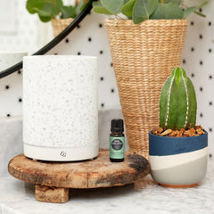 Edens Garden Fighting Five bottle emphasizes bold blend for energy boosters
