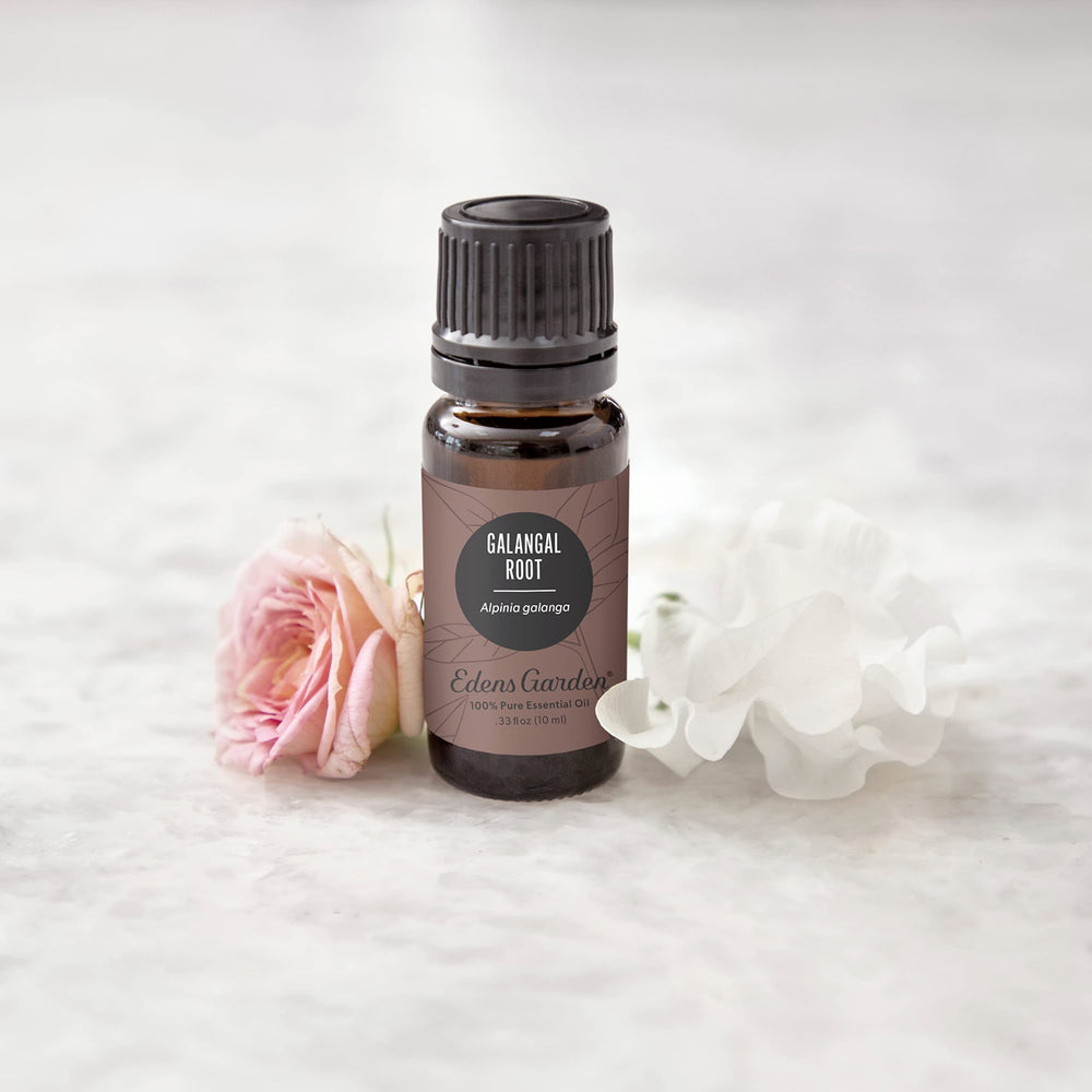 Edens Garden Galangal Root oil in a diffuser scene filling the room with warmth.