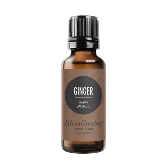 Edens Garden Ginger CO2 oil bottle with a warm aroma for diffusers