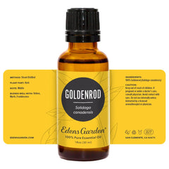Edens Garden Goldenrod on a store shelf display.
