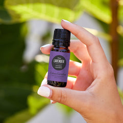Edens Garden Lavender Fine diffuser setup for relaxing space