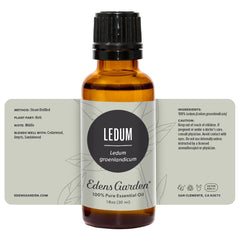 Edens Garden Ledum aroma at home creates grounding atmosphere.