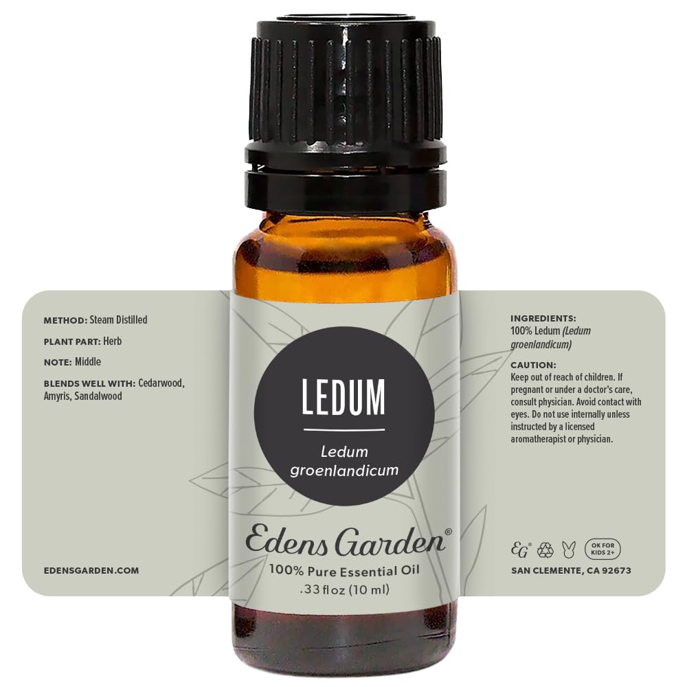 GC-MS transparency note on Ledum essential oil bottle.