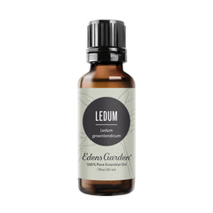 Edens Garden Ledum oil bottle ideal for diffuse aromatherapy and grounding spaces.
