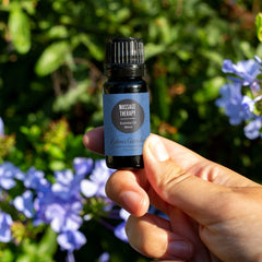 Edens Garden diffuser with Massage Therapy Oil Blend releasing a revitalizing aroma.
