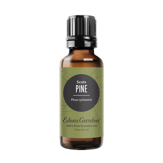 Edens Garden Pine-Scots essential oil bottle showing pure pine scent for focus