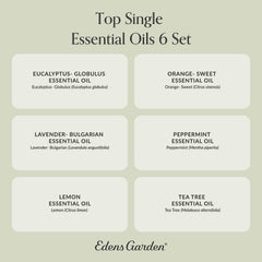 Edens Garden Diffuser-ready oils create calming, inviting home ambiance.