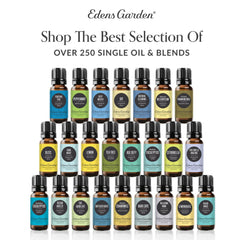 Edens Garden Tummy Aid blend visual-illustration showcases harmonious botanicals.
