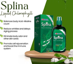 EDMARK Splina Liquid Chlorophyll bottle for daily energy balance
