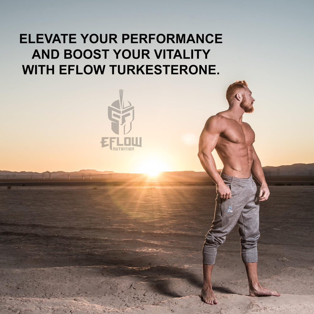 eflow nutrition turkesterone packaging display signals trusted sourcing.