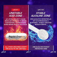 EFX Sports Kre-Alkalyn EFX powder fruity flavor bottle signals tasty pre- or post-workout drink.