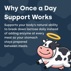 Element Longevity capsules inside bottle illustrating simple daily dairy digestion support.