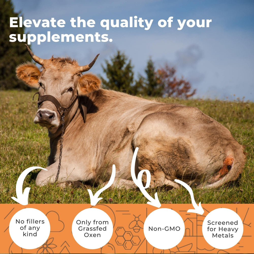 Eleva Nutrition ox bile extract with black pepper enhances absorption during meals.