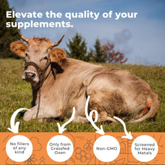 Eleva Nutrition ox bile extract with black pepper enhances absorption during meals.