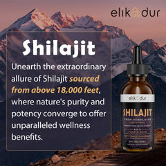 Elikadur Shilajit: escena de los Himalayas que inspira una rutina consciente.