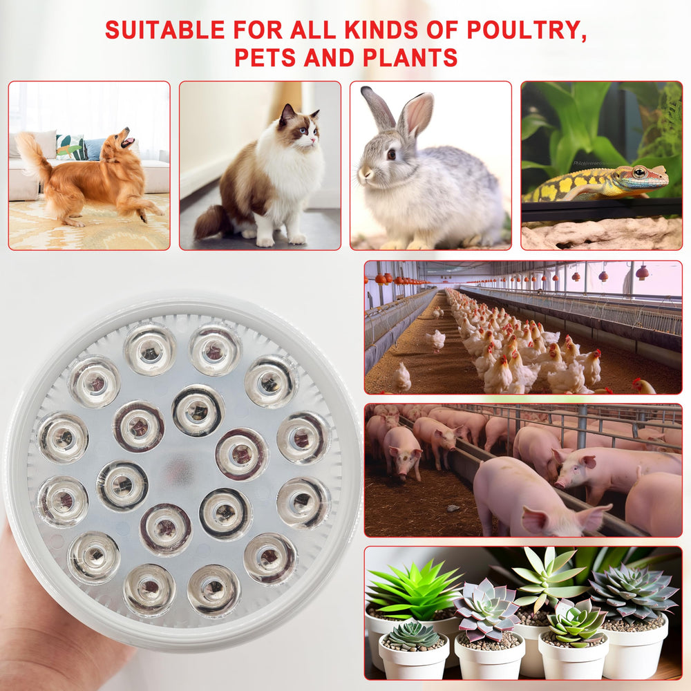 Elitzia infrared bulb package includes user manual for quick guidance.