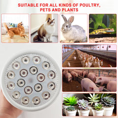 Elitzia infrared bulb package includes user manual for quick guidance.