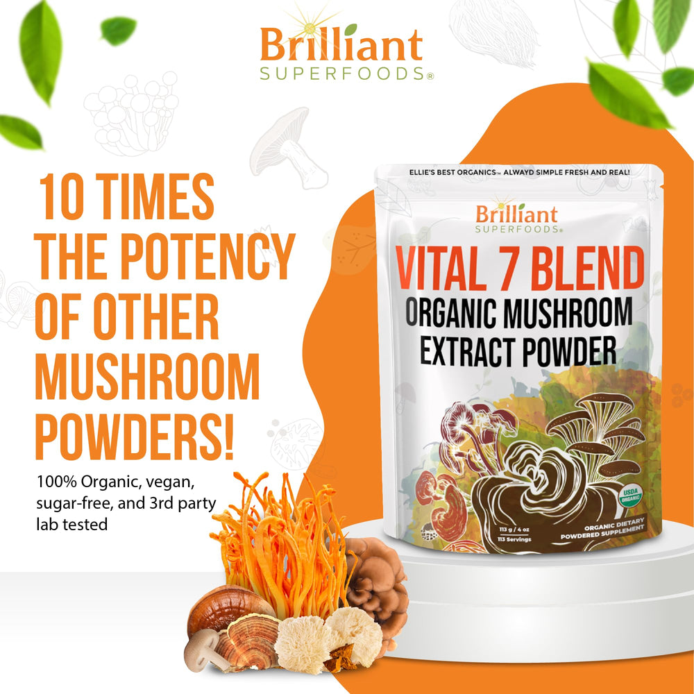 Scoop of Ellie's Best 7 Mushroom Powder ready for daily dose.
