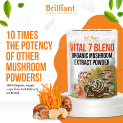Scoop of Ellie's Best 7 Mushroom Powder ready for daily dose.