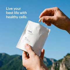 ELYSIUM Basis capsule-dispensing image showcasing compact, travel-friendly use