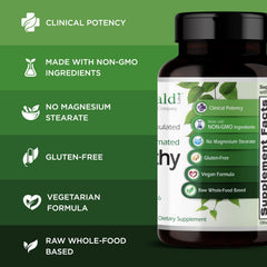 Emerald Labs B-Healthy capsule close-up emphasizing methylated folic acid for brain health
