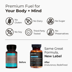 Endurance ENDUR Dihydroberberine tablet in hand for easy dosing.