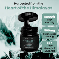 EnerNaturals Shilajit resin dissolving in warm water for easy mixing
