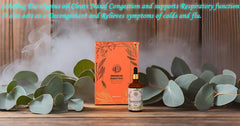DIY beauty blends with Enhanced Essentials Eucalyptus Oil for refreshing cleansers and balms.